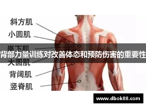 背部力量训练对改善体态和预防伤害的重要性